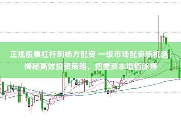 正规股票杠杆到杨方配资 一级市场配资新机遇：揭秘高效投资策略，把握资本增值脉搏