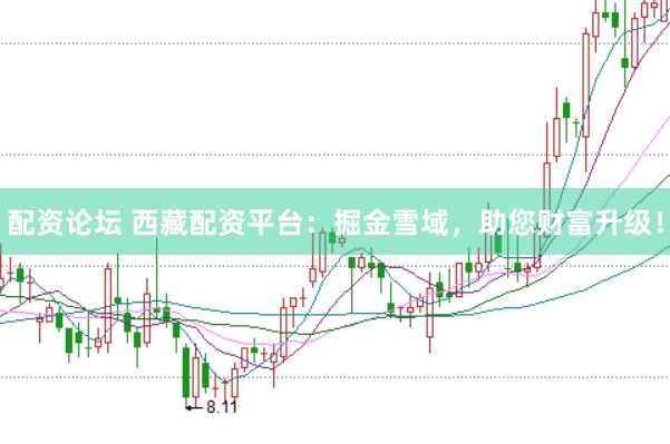 配资论坛 西藏配资平台：掘金雪域，助您财富升级！