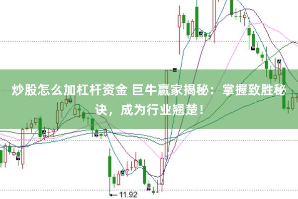 炒股怎么加杠杆资金 巨牛赢家揭秘：掌握致胜秘诀，成为行业翘楚！