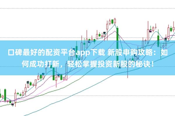 口碑最好的配资平台app下载 新股申购攻略：如何成功打新，轻松掌握投资新股的秘诀！