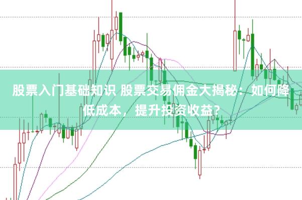 股票入门基础知识 股票交易佣金大揭秘：如何降低成本，提升投资收益？