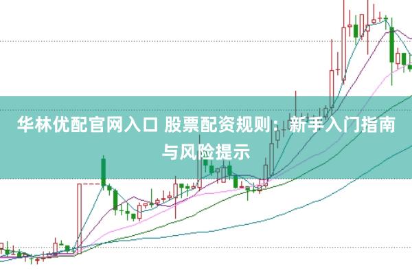 华林优配官网入口 股票配资规则：新手入门指南与风险提示