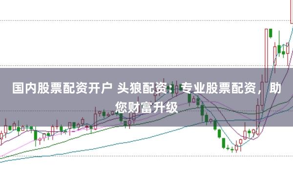 国内股票配资开户 头狼配资：专业股票配资，助您财富升级