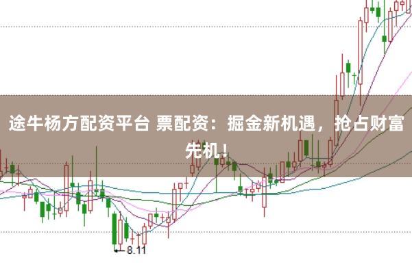 途牛杨方配资平台 票配资：掘金新机遇，抢占财富先机！