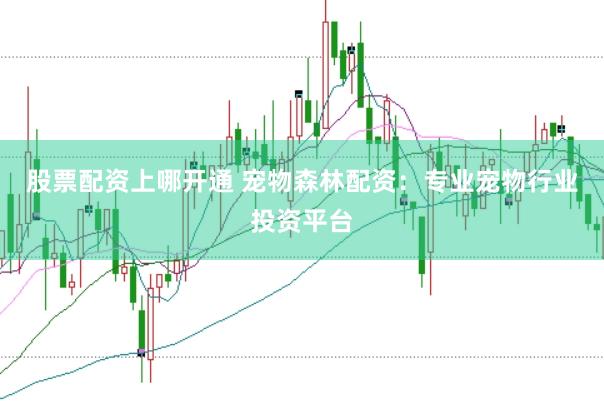 股票配资上哪开通 宠物森林配资：专业宠物行业投资平台
