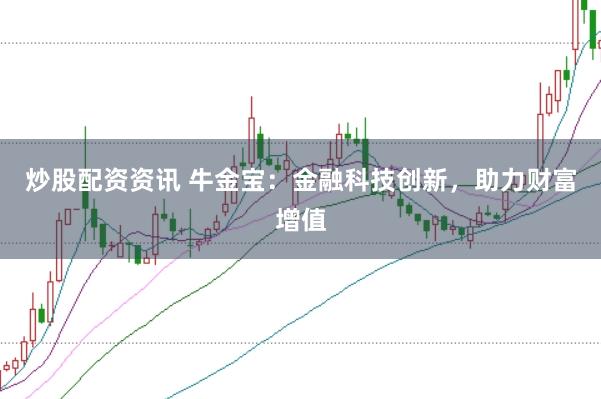 炒股配资资讯 牛金宝：金融科技创新，助力财富增值