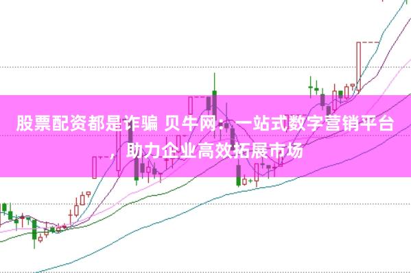股票配资都是诈骗 贝牛网：一站式数字营销平台，助力企业高效拓展市场