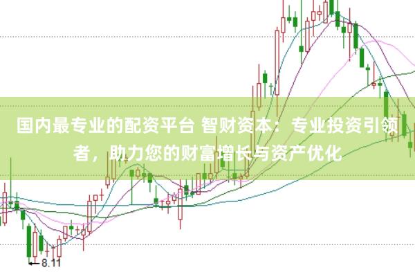 国内最专业的配资平台 智财资本：专业投资引领者，助力您的财富增长与资产优化