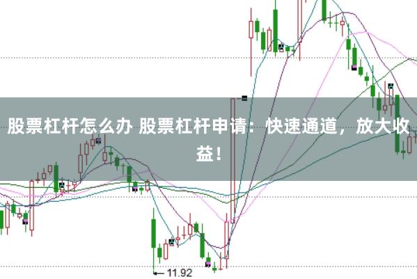 股票杠杆怎么办 股票杠杆申请：快速通道，放大收益！