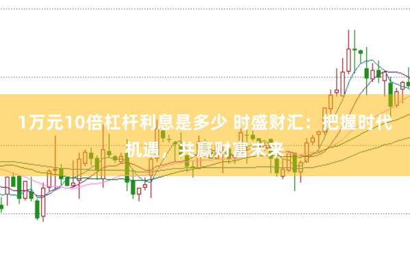 1万元10倍杠杆利息是多少 时盛财汇：把握时代机遇，共赢财富未来
