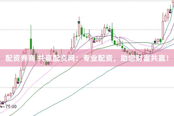 配资券商 共赢配资网：专业配资，助您财富共赢！