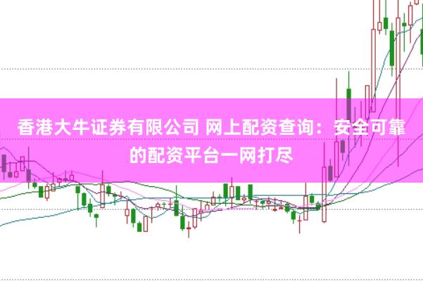 香港大牛证券有限公司 网上配资查询：安全可靠的配资平台一网打尽
