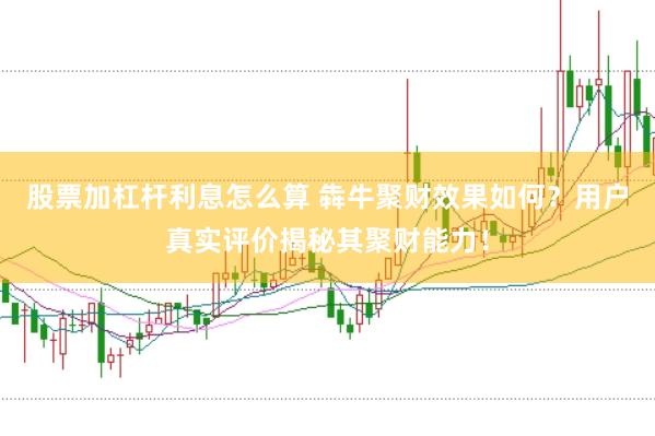 股票加杠杆利息怎么算 犇牛聚财效果如何？用户真实评价揭秘其聚财能力！