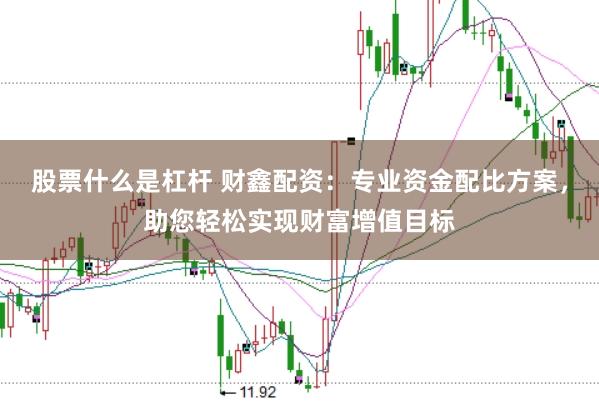 股票什么是杠杆 财鑫配资：专业资金配比方案，助您轻松实现财富增值目标