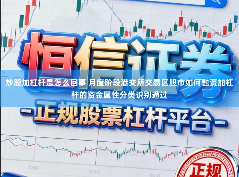 炒股加杠杆是怎么回事 月度阶段港交所交易区股市如何融资加杠杆的资金属性分类识别通过